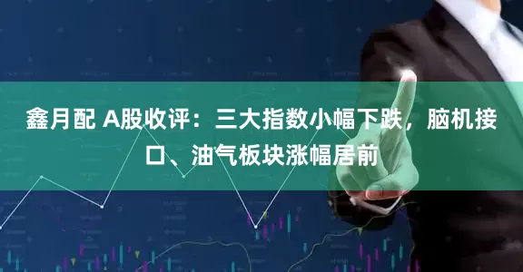 鑫月配 A股收评:三大指数小幅下跌,脑机接口、油气板块涨幅居前